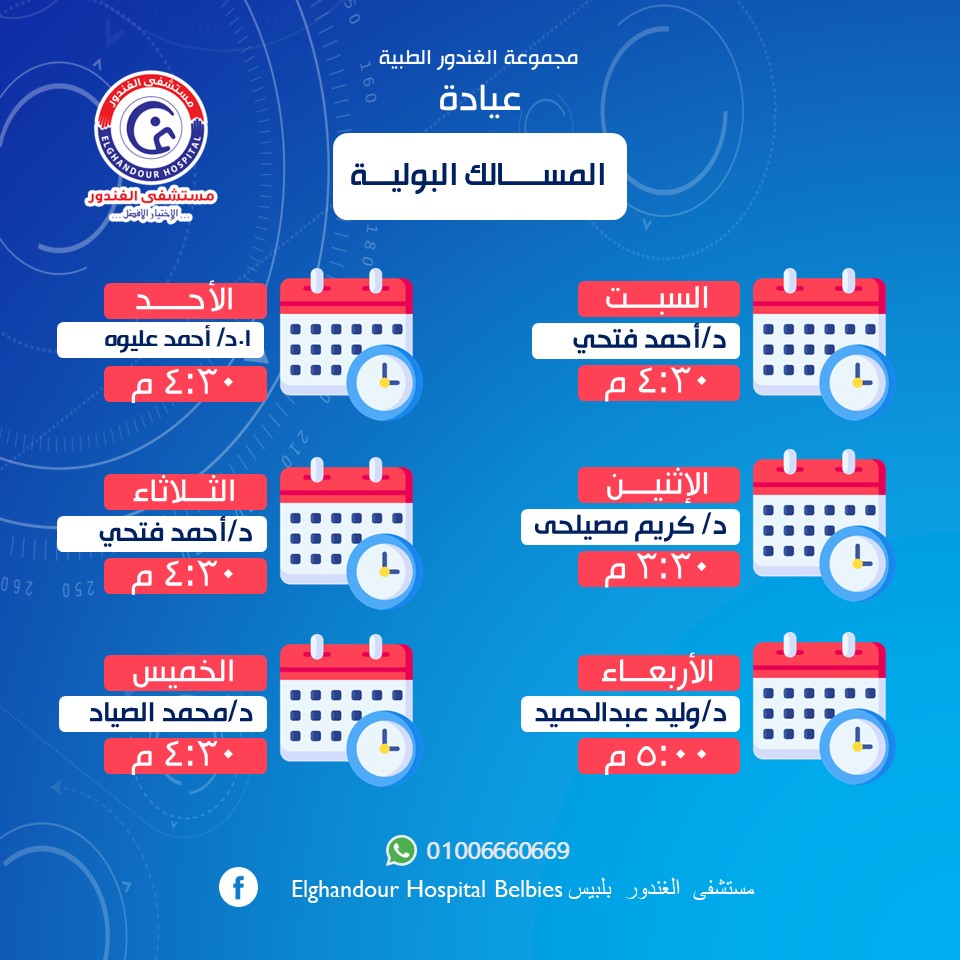 488565537_4855851754640875_4001343056040533695_n