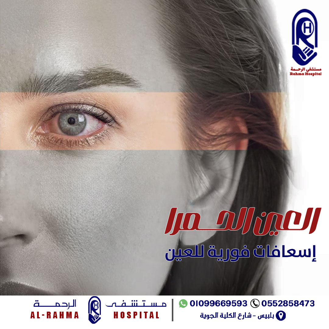 490241736_664107856367438_3751967404120564790_n