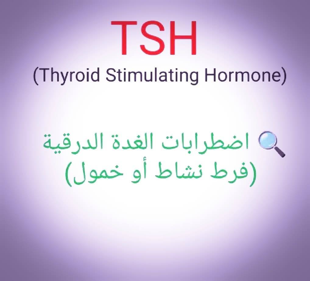 531345425_1522978122392115_1715616935870419650_n