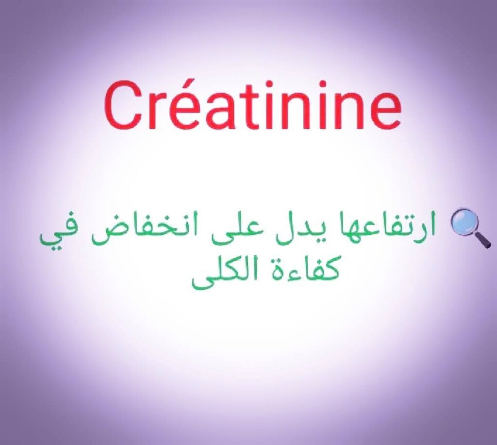 531370851_1522977989058795_2671282777876802101_n