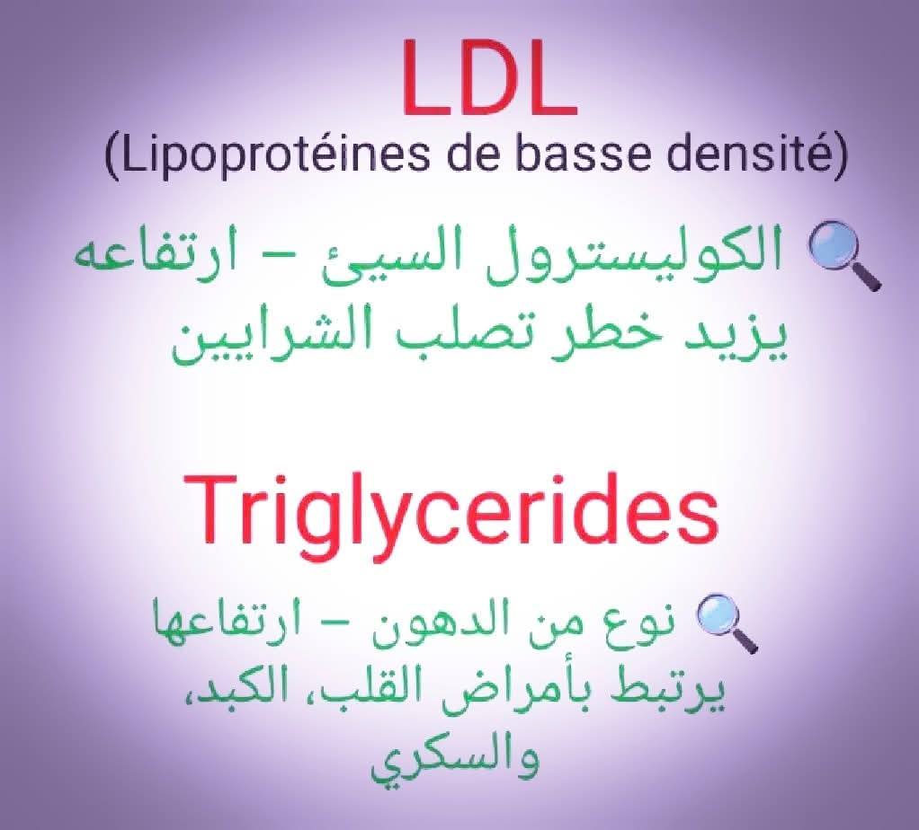 531536365_1522977855725475_5661736027624510467_n