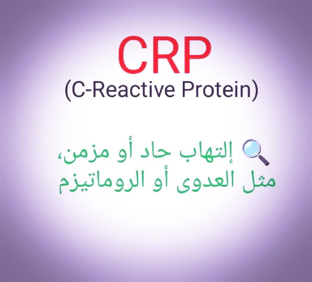 531894056_1522977482392179_8693094879737370191_n