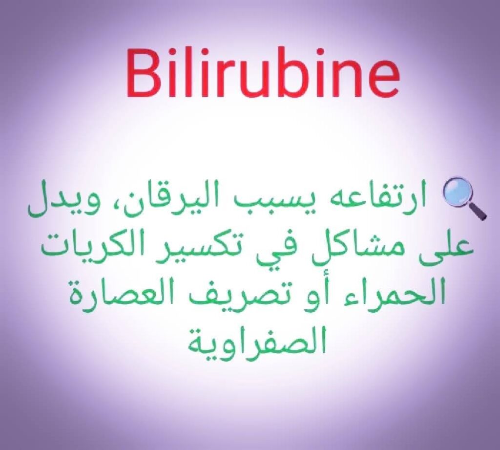 531976195_1522977645725496_2282725140856319335_n (1)
