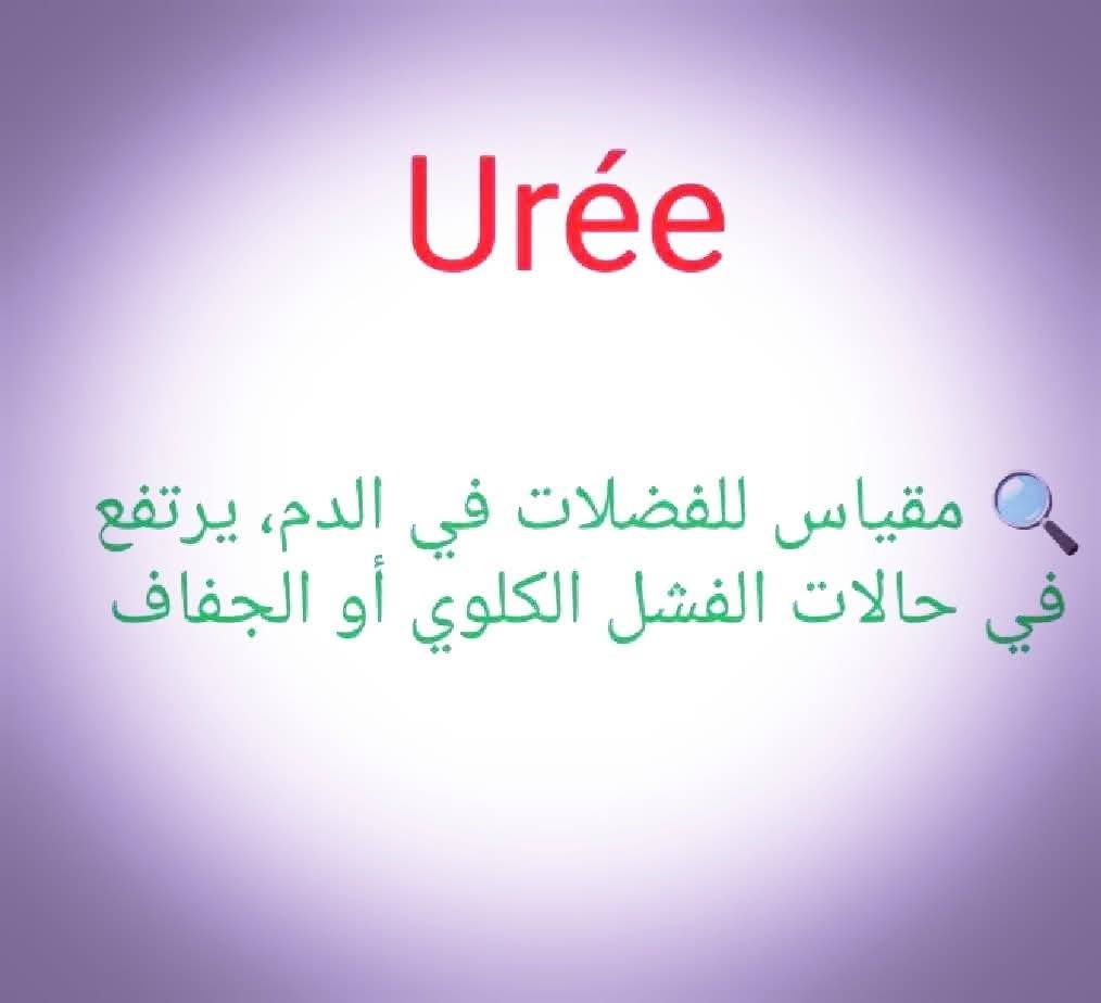 532141057_1522977909058803_3905952866170672109_n