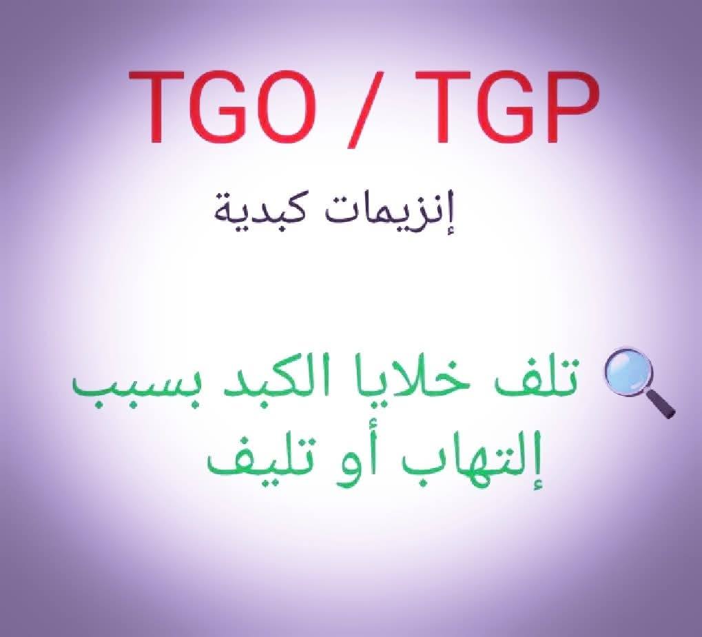 532398971_1522977609058833_2368366640075217779_n