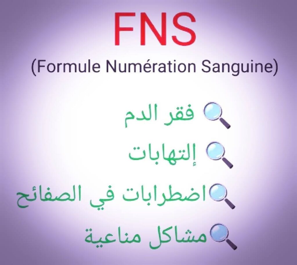 532477312_1522975879059006_3335777023020213280_n