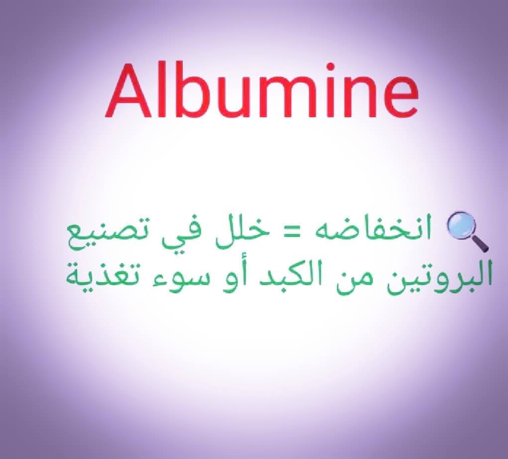 533284528_1522977692392158_5056522542071718700_n