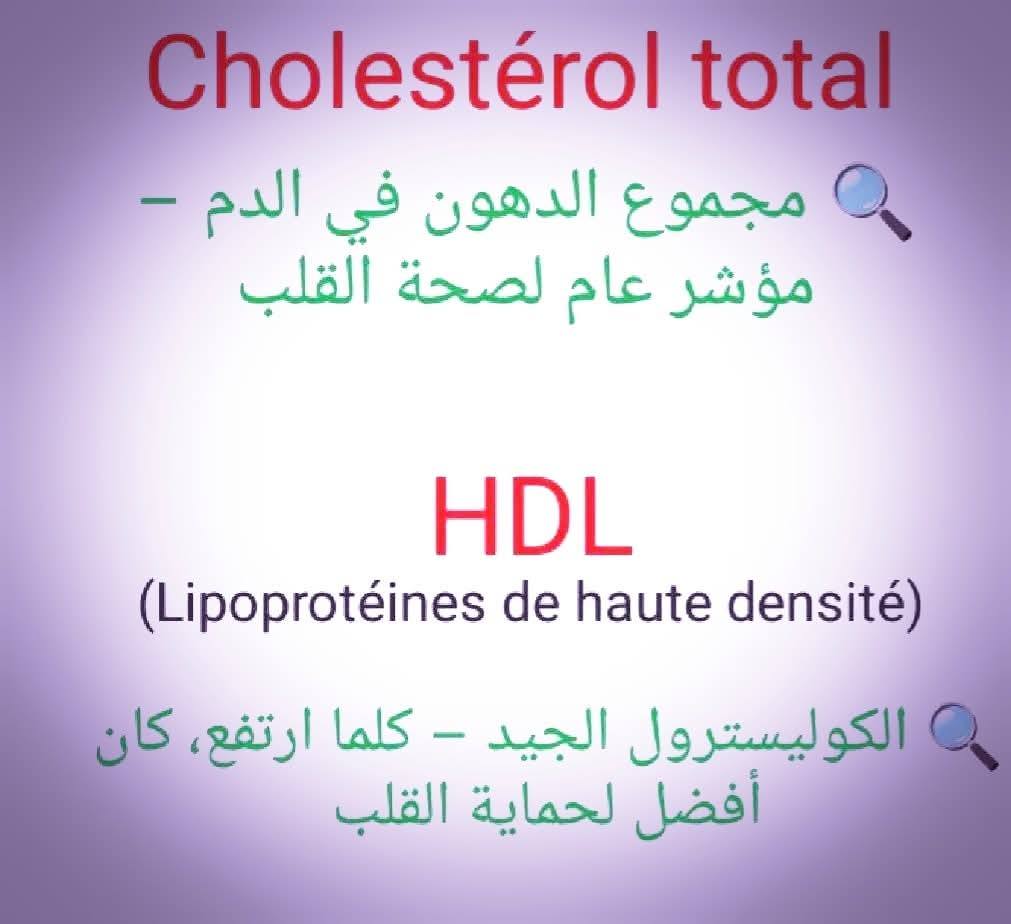 533343129_1522977805725480_7017246241031465513_n