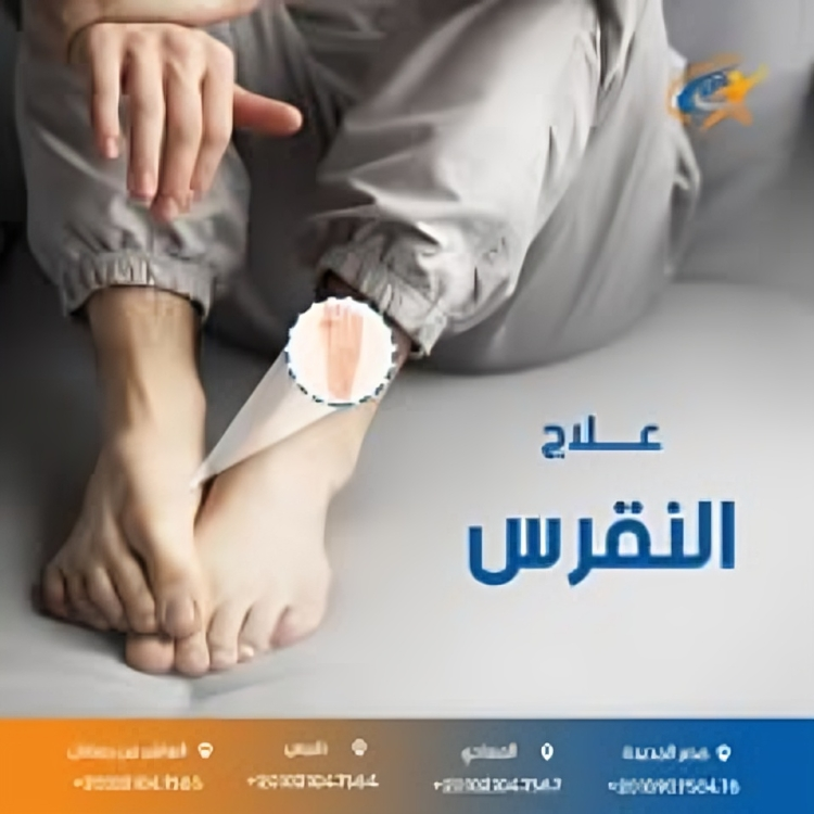 469907124_122217512306018483_7067935349379183781_n