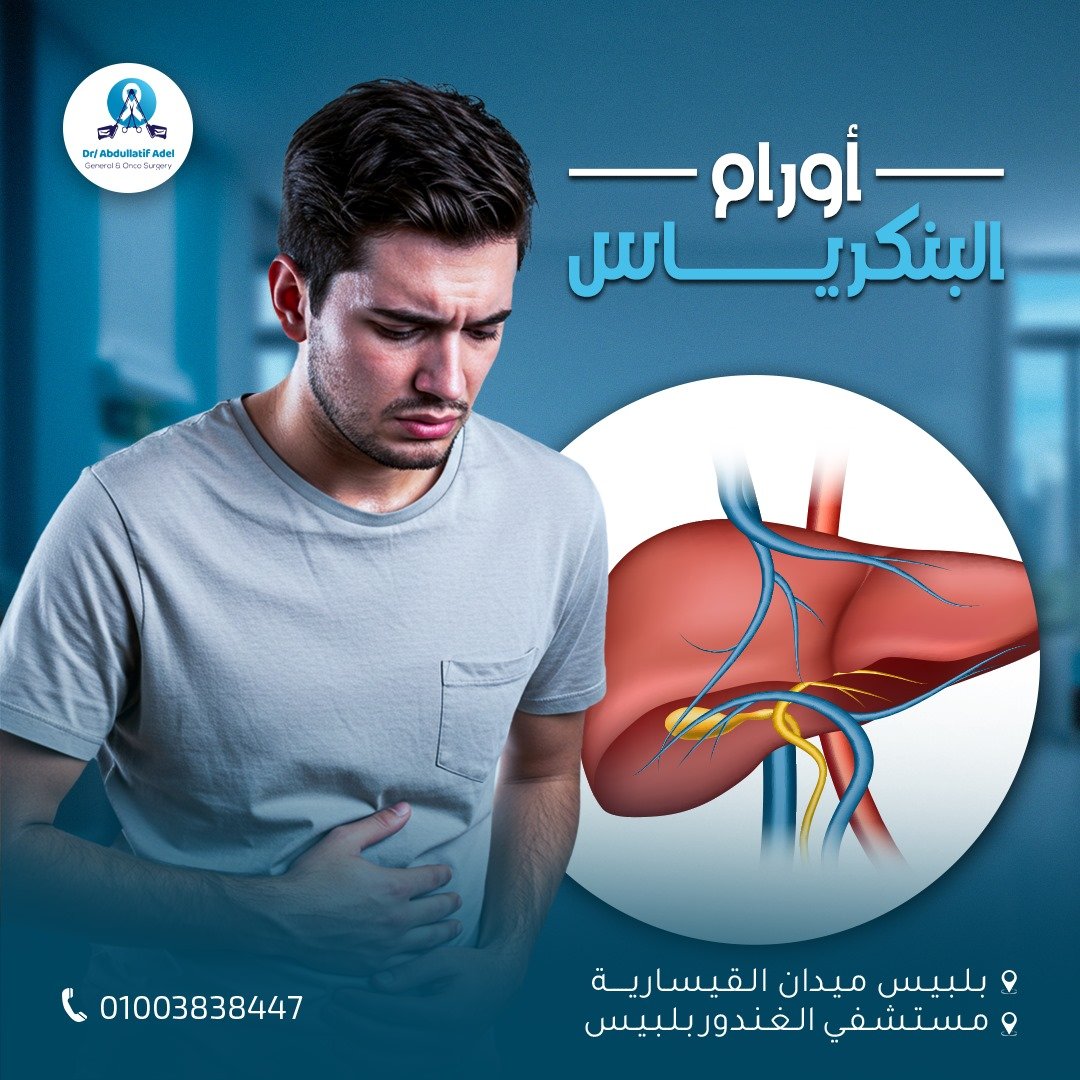 485386052_122122844396415578_1892263594507801751_n