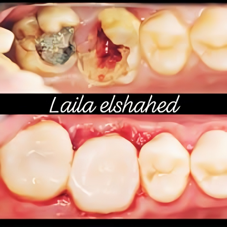 488441022_661269979606835_8703159492795498088_n