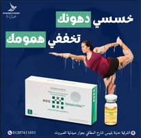 494643819_1196102489195809_4613221323031831860_n