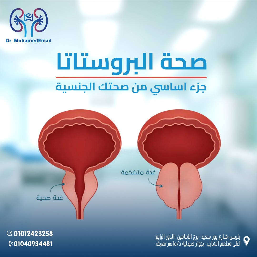 514253058_122166683276473002_3176982163120387838_n - Copy