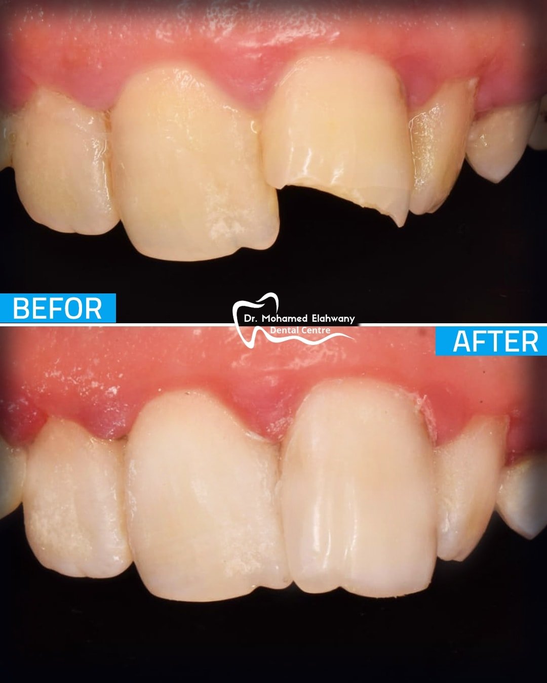 568280702_1230534655771749_6815152579426303920_n