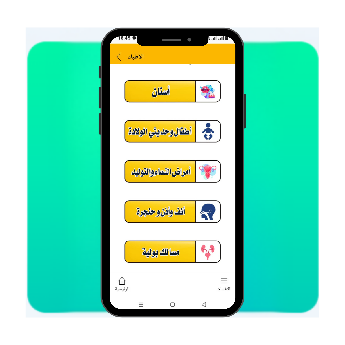 قوائم منظمة ومرتبة