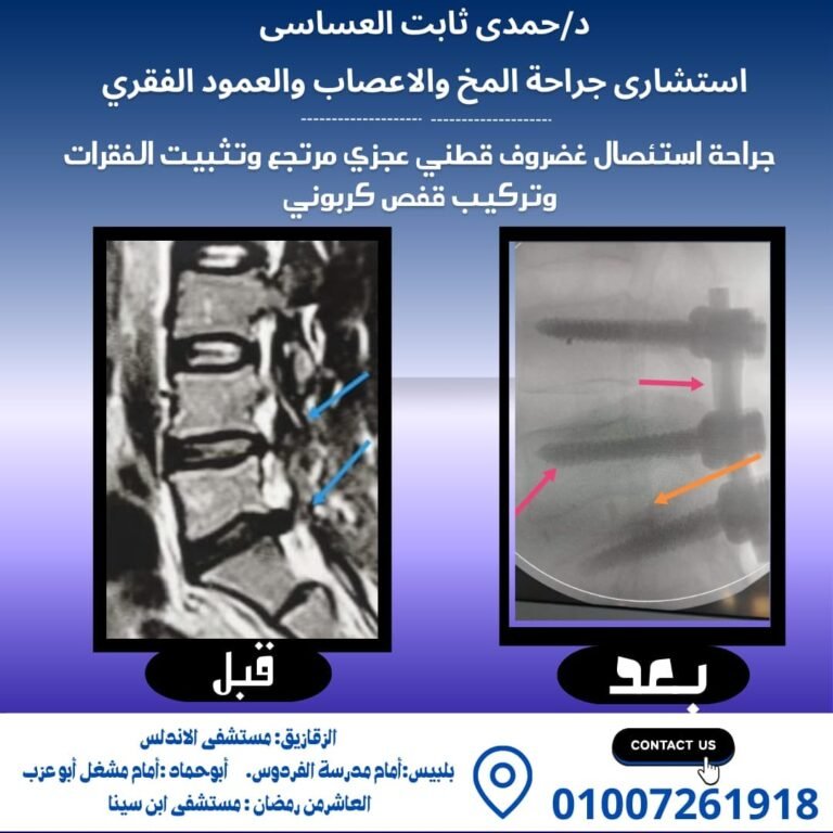 476221463_122227988348067476_7518865932285182910_n