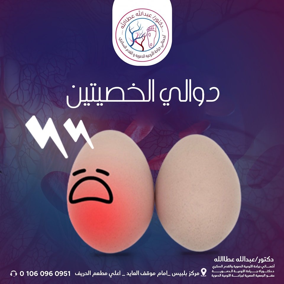 470795896_438662685974131_4549349087326285170_n