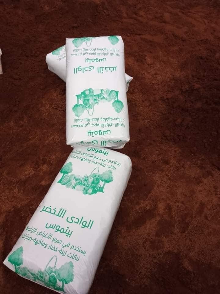 482032652_602264102805403_1720421493696279383_n