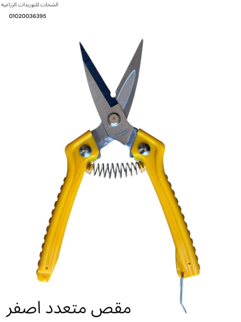 507137231_675823915449421_1285164944200560890_n