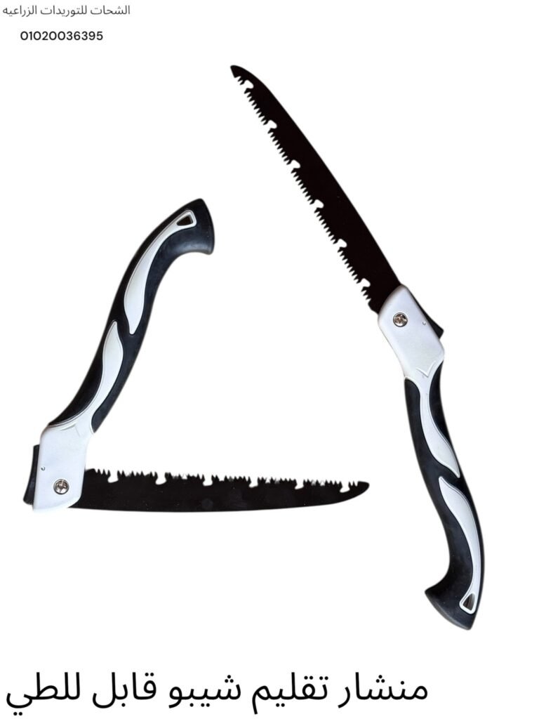 508104631_675823838782762_5077970700948915171_n