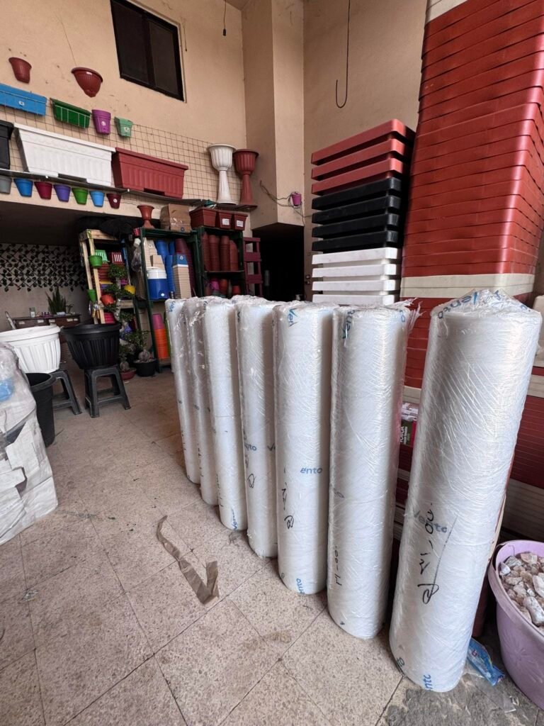 544904065_742643212100824_4381716436741562081_n