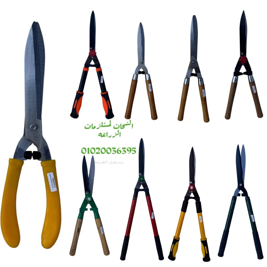 550081482_751992484499230_7247828437792319632_n