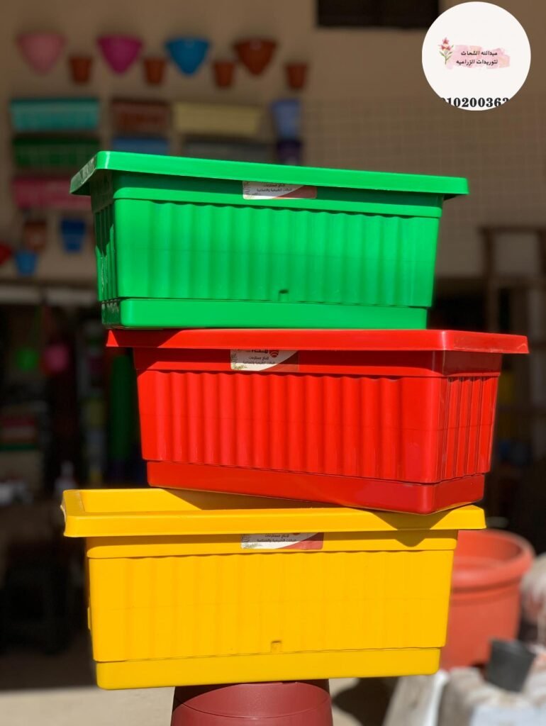 565137450_777035235328288_4230101404229365612_n